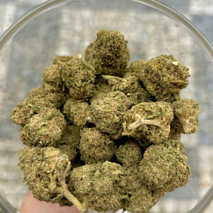 
                  
                    Sušené CBD květy Jack Herer
                  
                