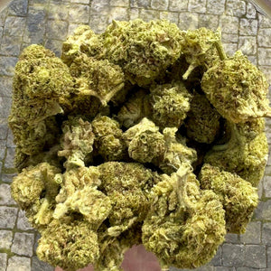 
                  
                    Sušené květy THC-x Cannatonic Cryo
                  
                