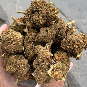 
                  
                    Purple Shaman CBD dried flowers
                  
                