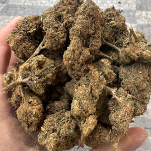 
                  
                    Sušené 10 OH-HHCP květy Bubba Kush
                  
                
