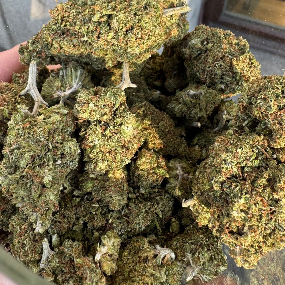 
                  
                    Sušené CBD květy Lemon Haze
                  
                