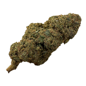 
                  
                    Sušené 10 OH-HHCP květy White Widow
                  
                