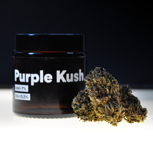 
                  
                    Sušené květy LIT Purple Kush
                  
                